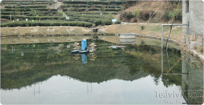 mountain water for irrigation