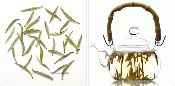 chinese spring green tea 2013 bai hao yin zhen