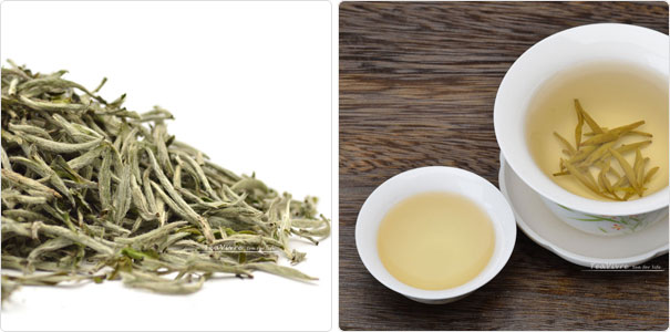 chinese spring green tea 2013 bai hao yin zhen