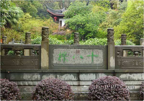 shifeng mountain longjing tea garden