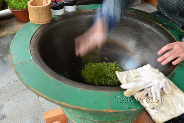 shifeng mountain longjing tea garden