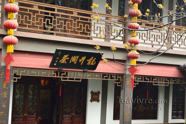 shifeng mountain longjing tea garden